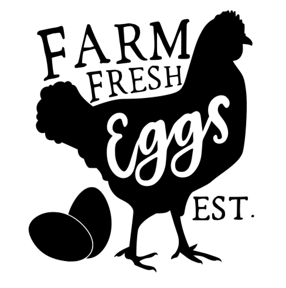 19 Farm eggs Fresh